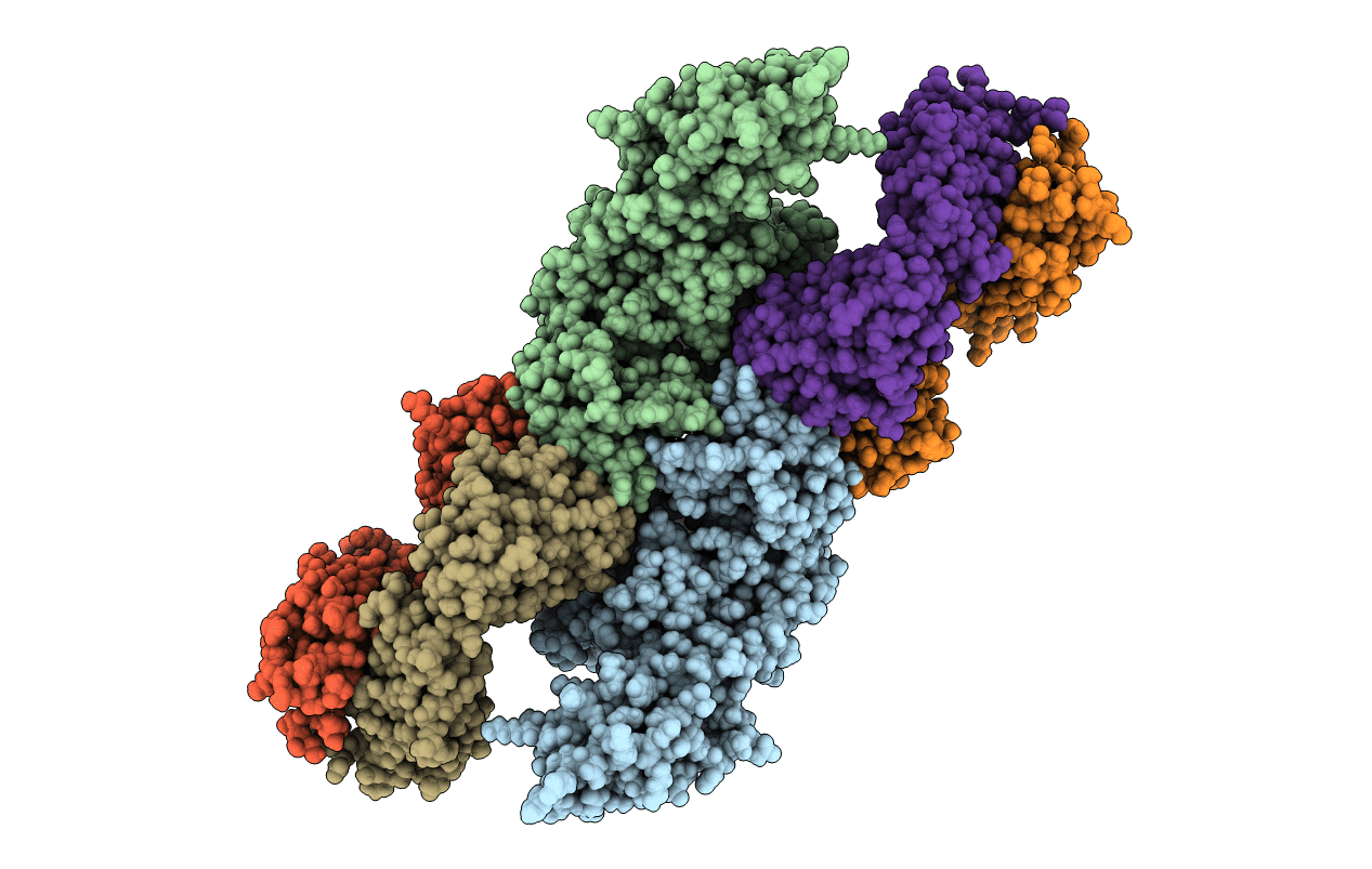 5VQM image