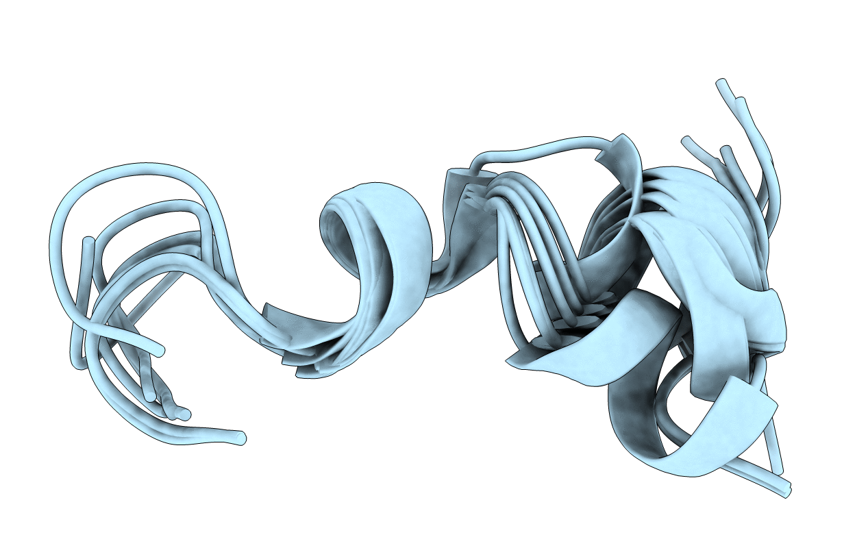 5VR5 image