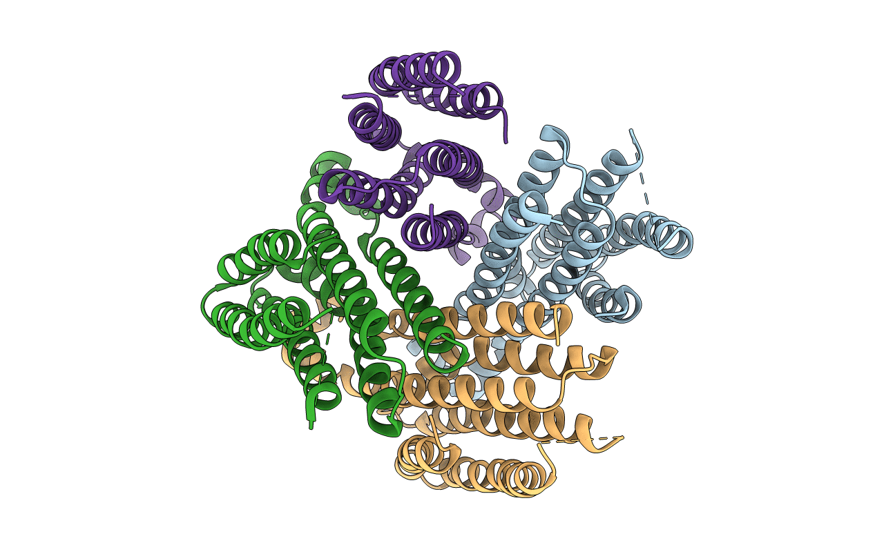 5VRE image