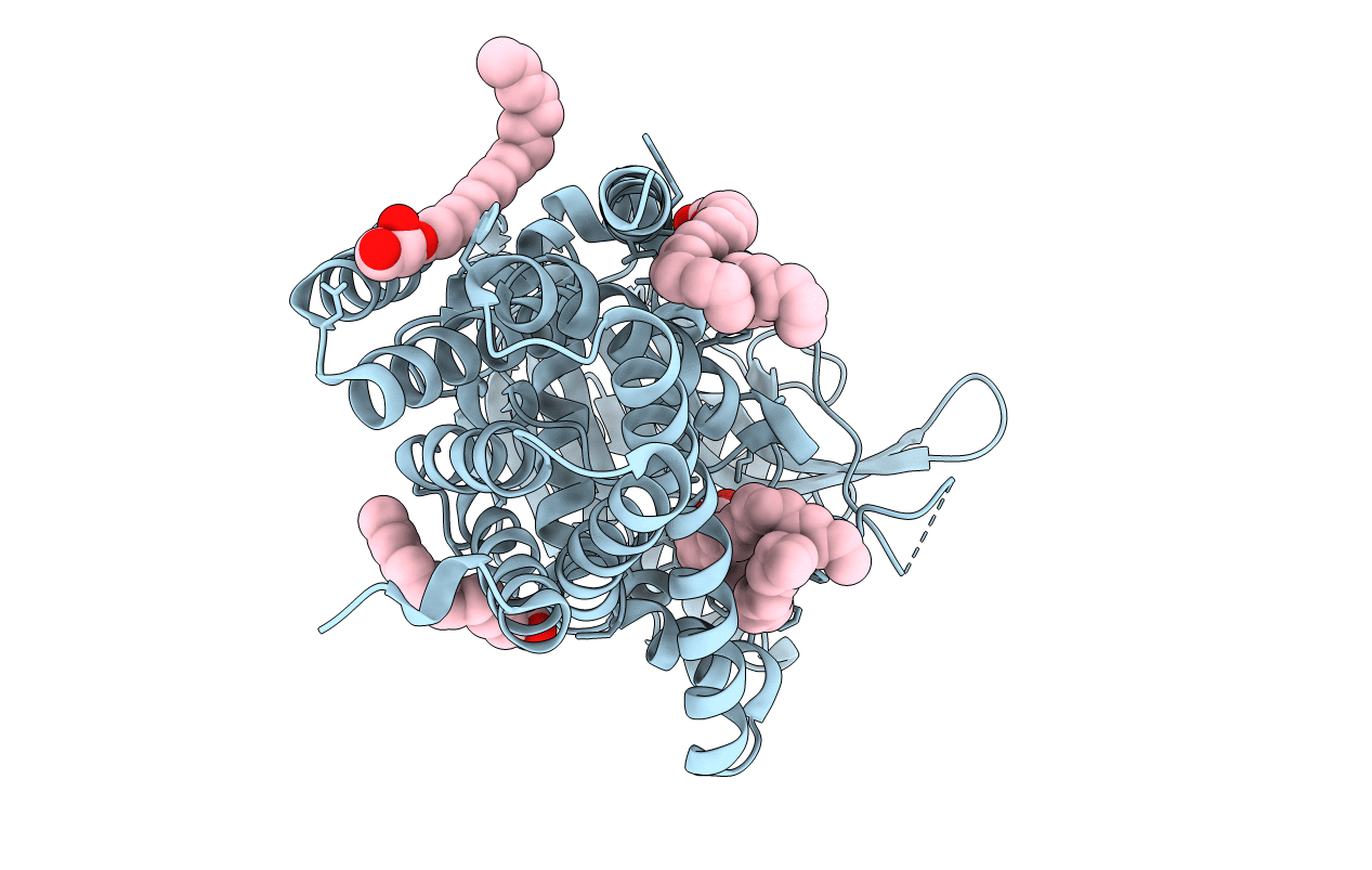 5VRH image