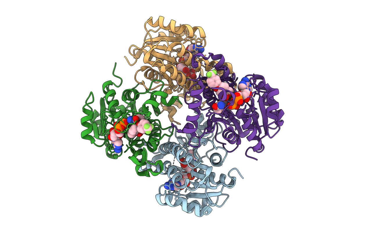 5VRM image