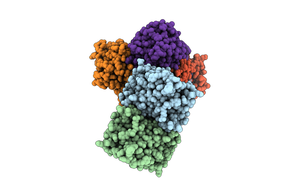 5VRN image
