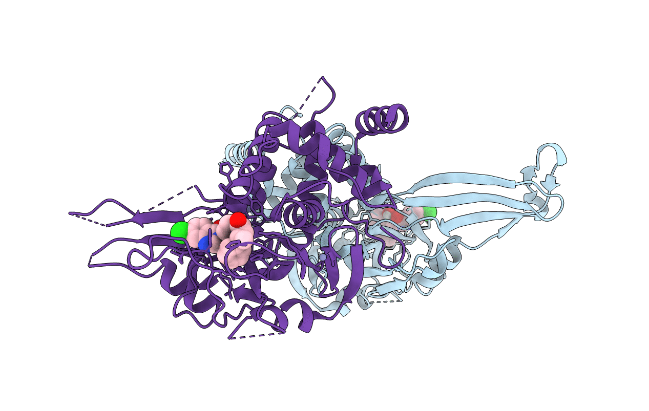 5VSK image