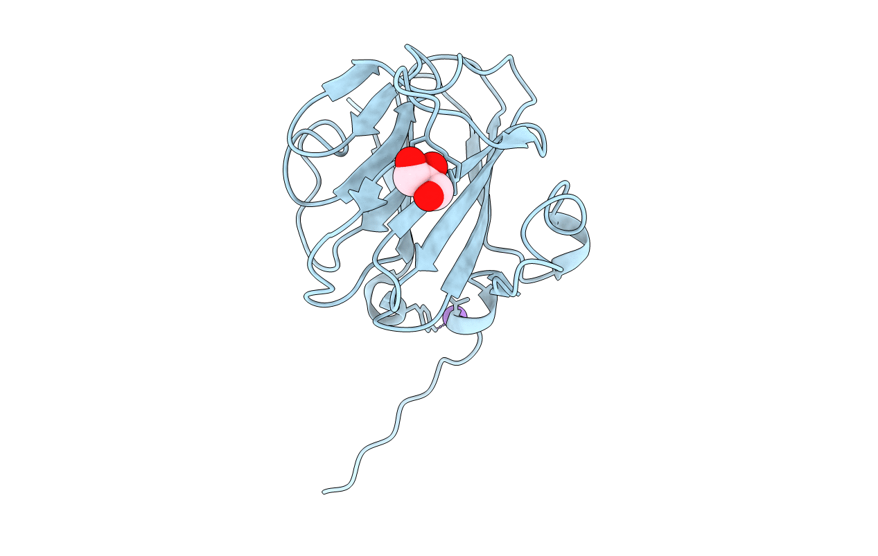5VSN image