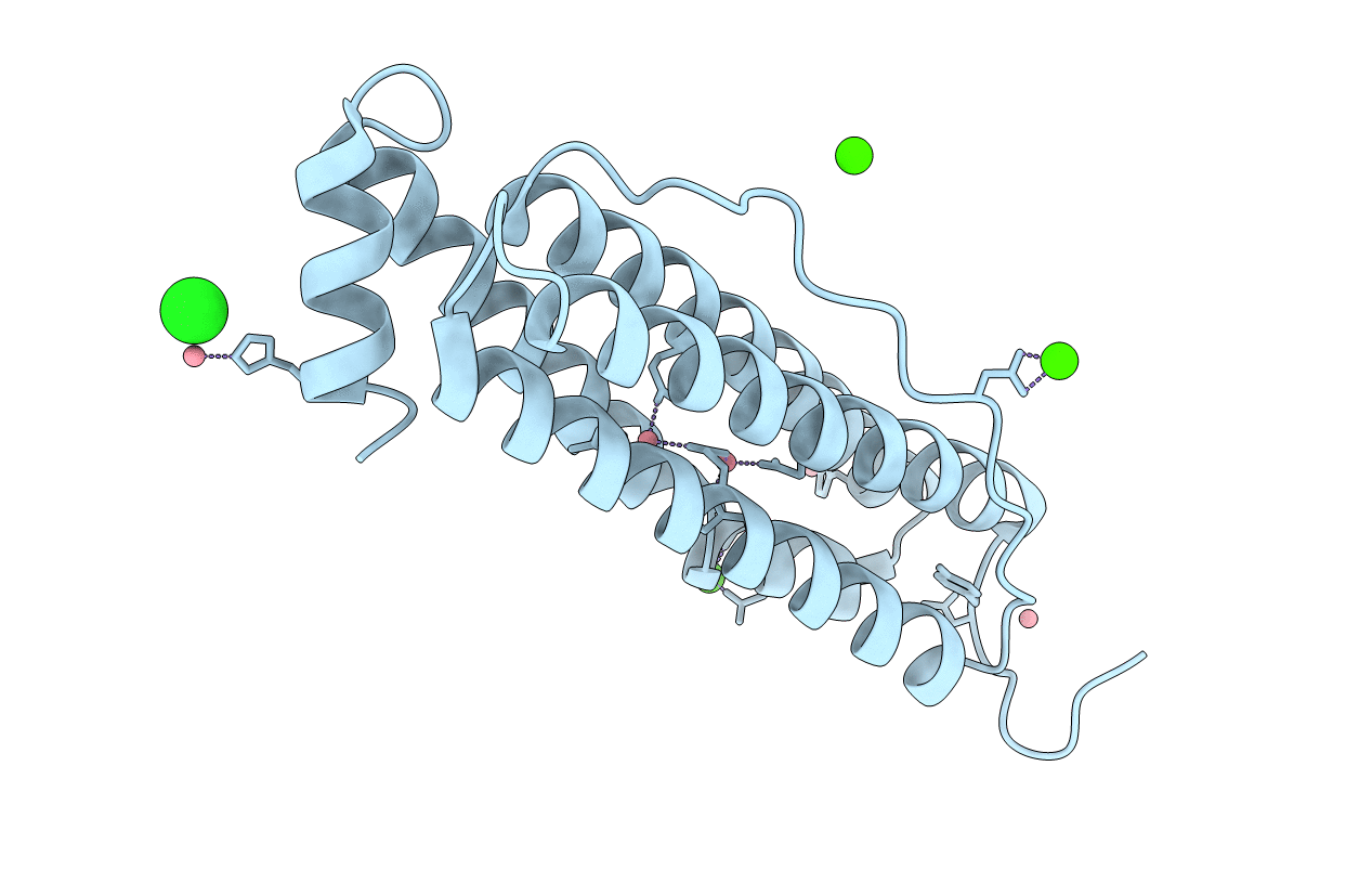 5VTD image