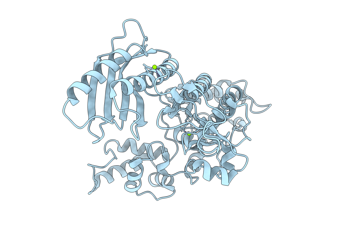 5VTP image