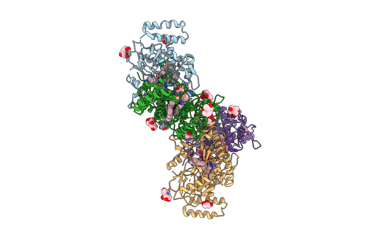 5VVD image