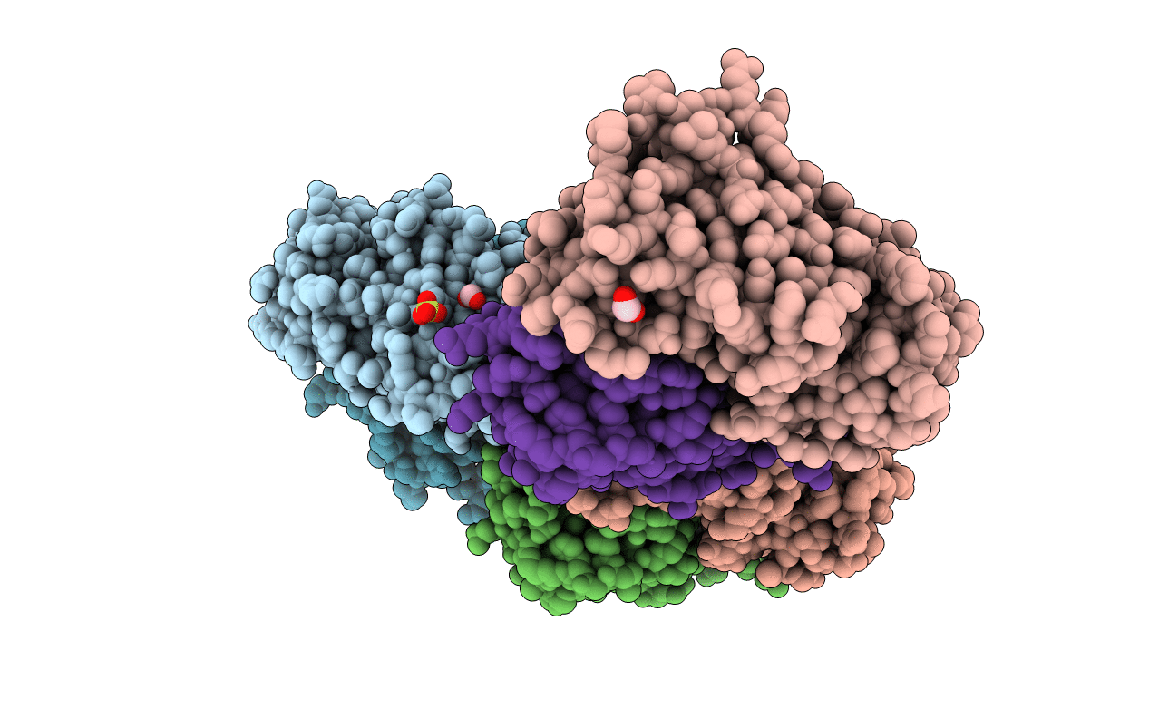 5VVH image