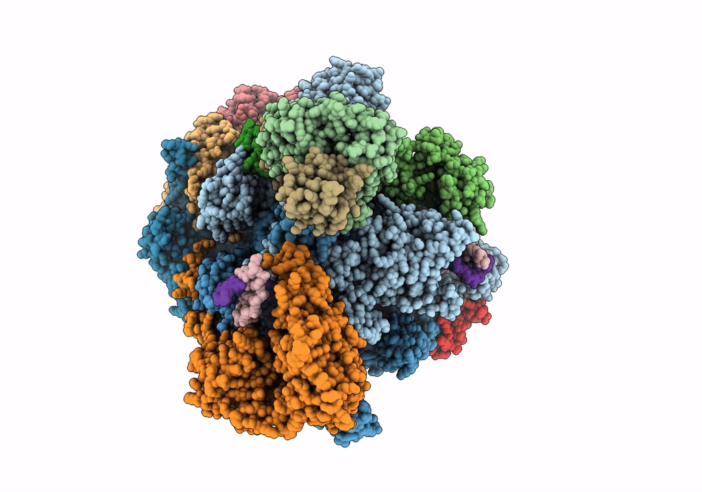 5VVR image