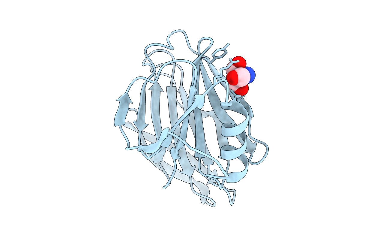 5VX4 image