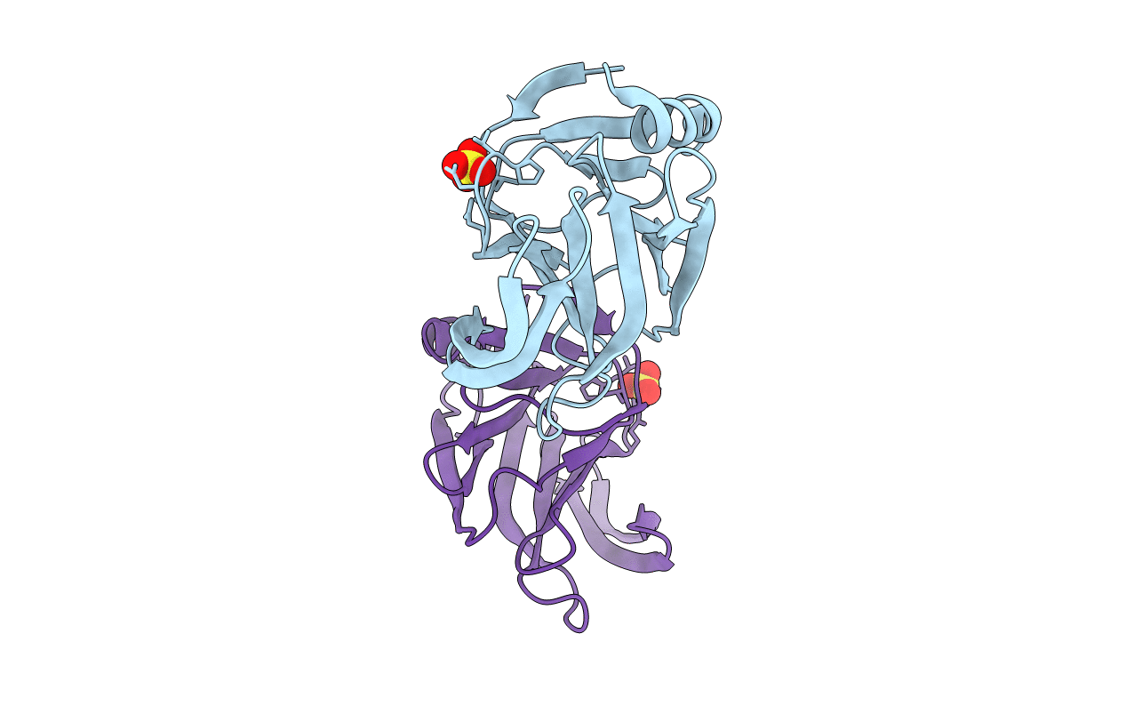 5VX8 image