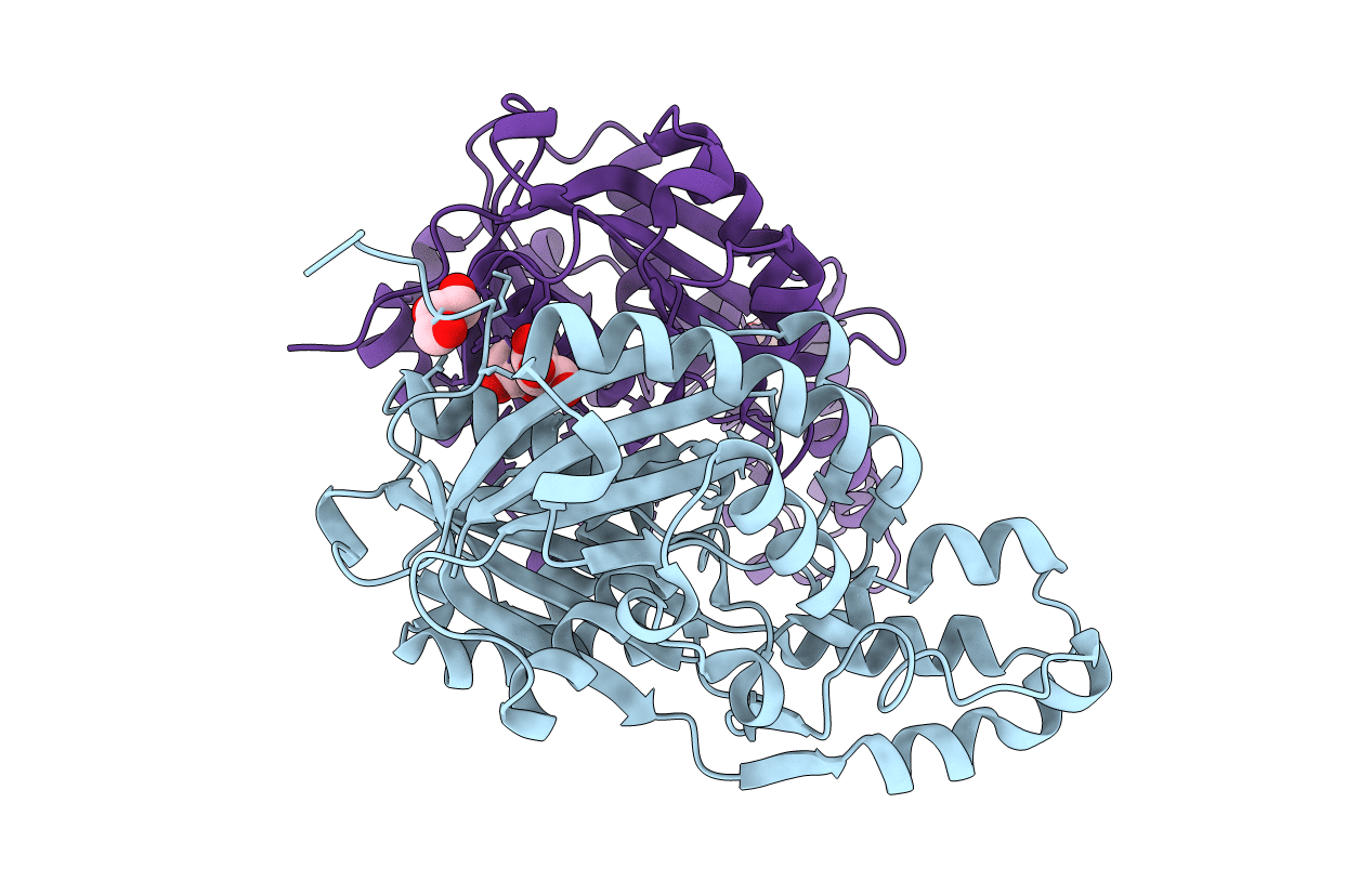 5VXF image