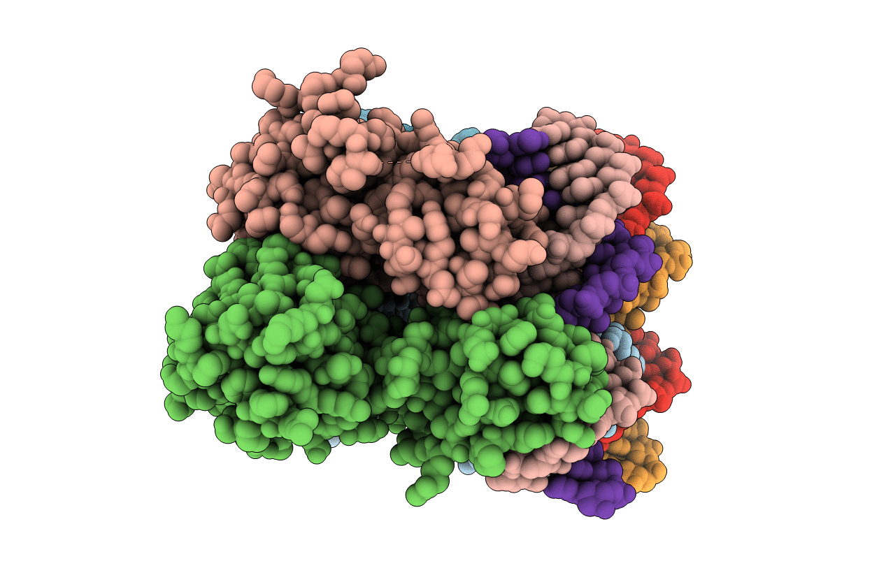 5VXN image