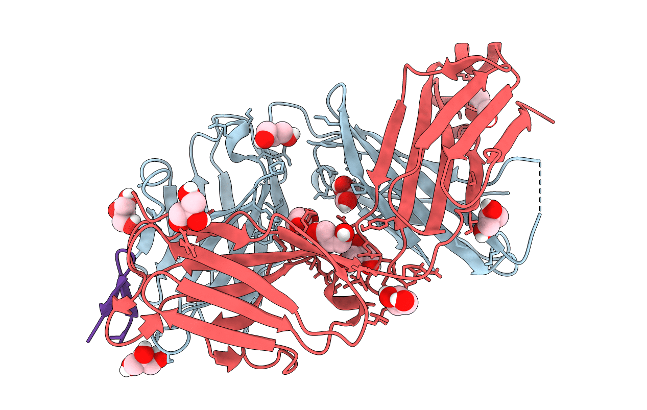 5VXR image