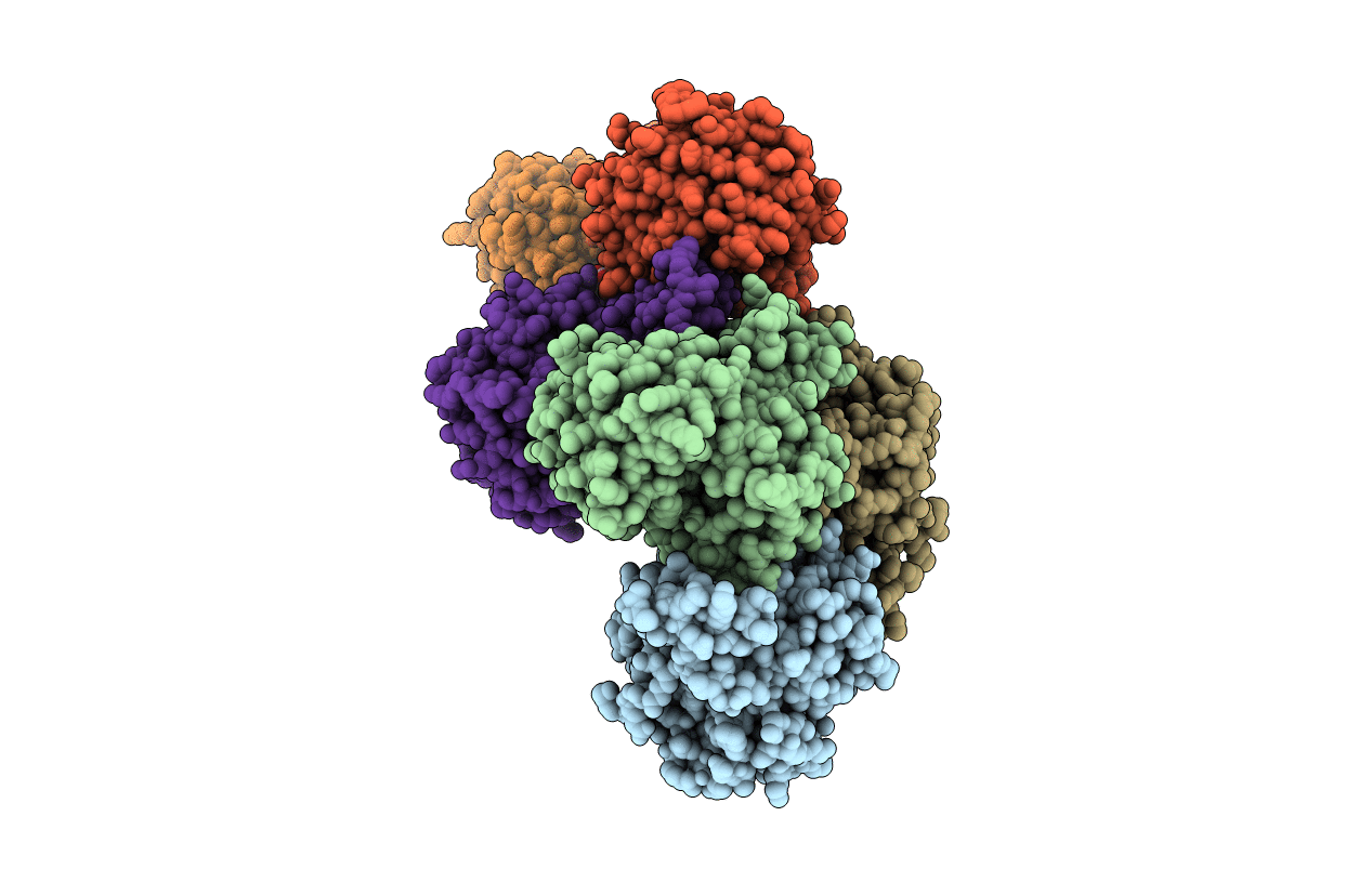 5VXS image