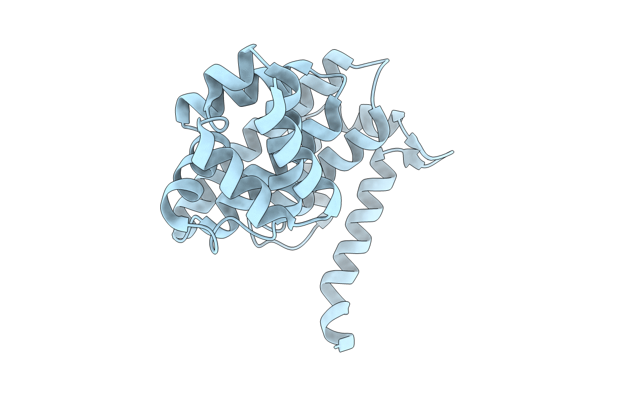 5VXV image