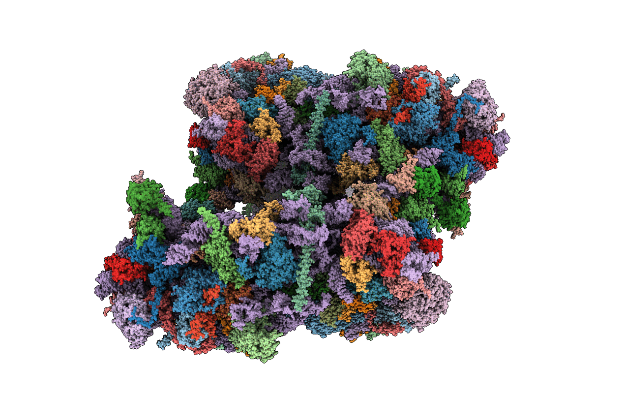 5VYC image