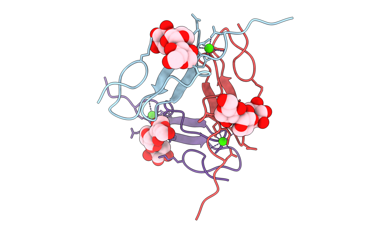 5VYG image