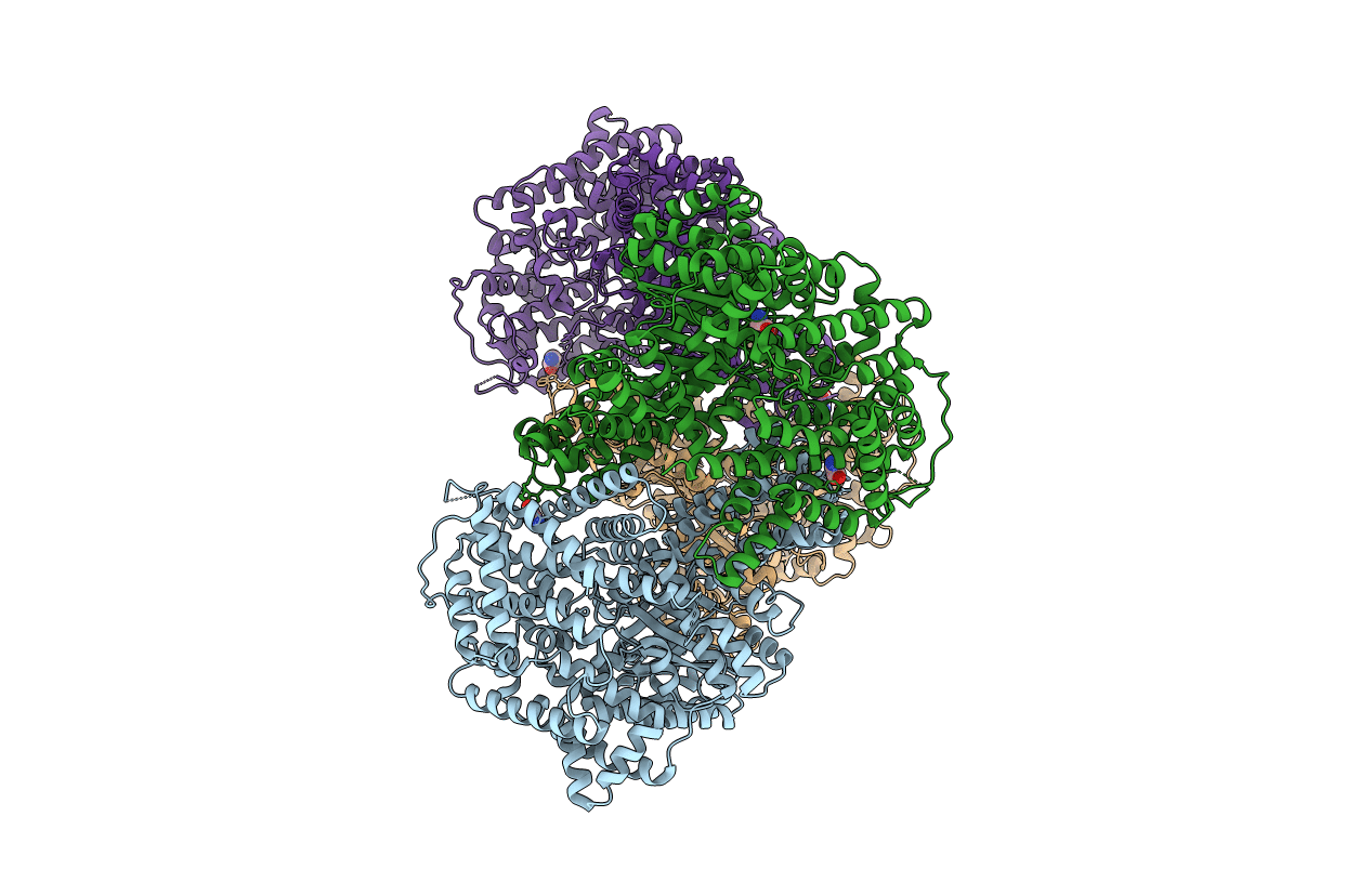 5VYJ image