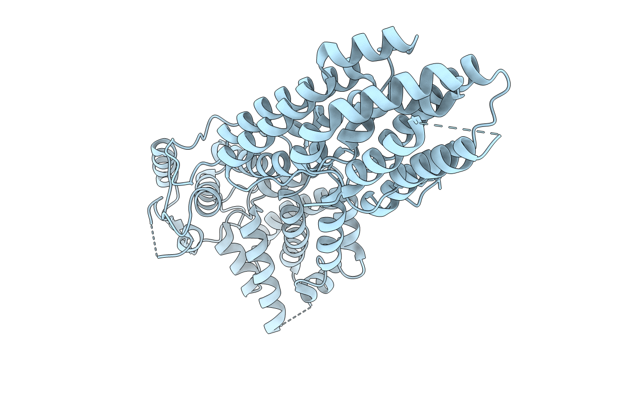 5VYL image