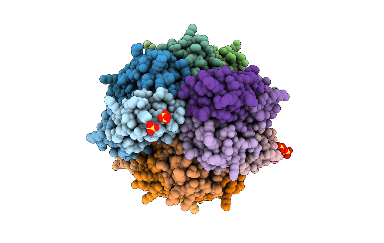 5VYP image