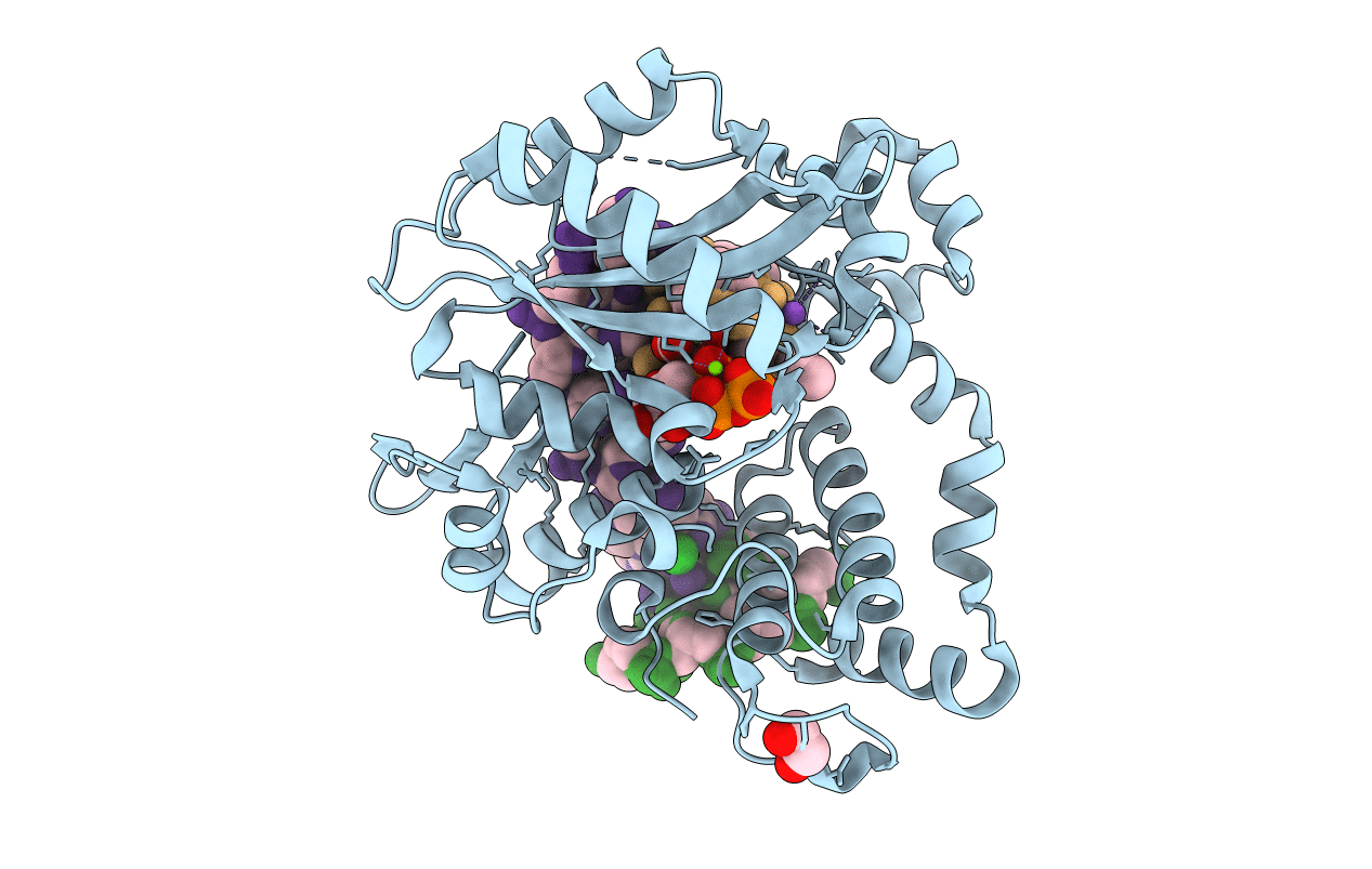 5VZH image