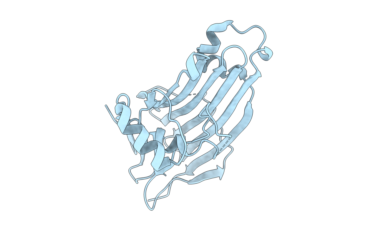 5W0X image