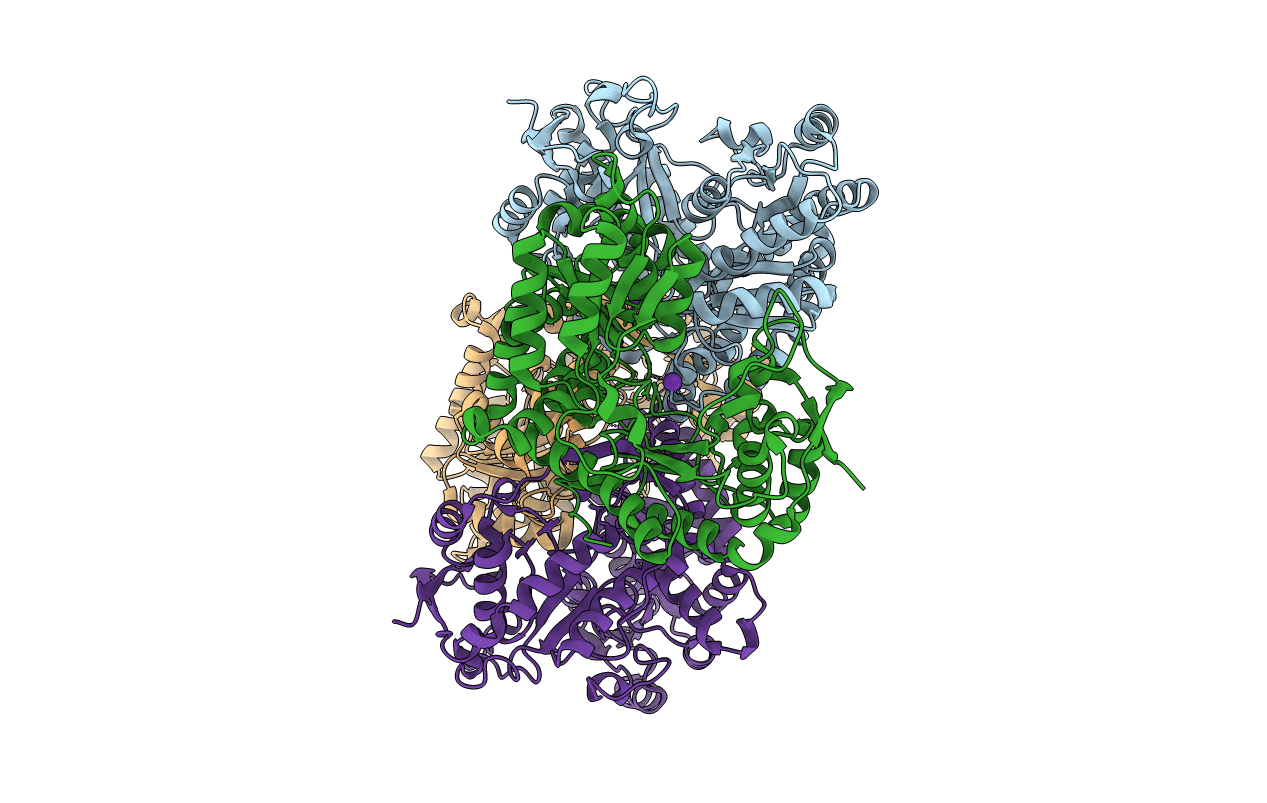 5W1B image