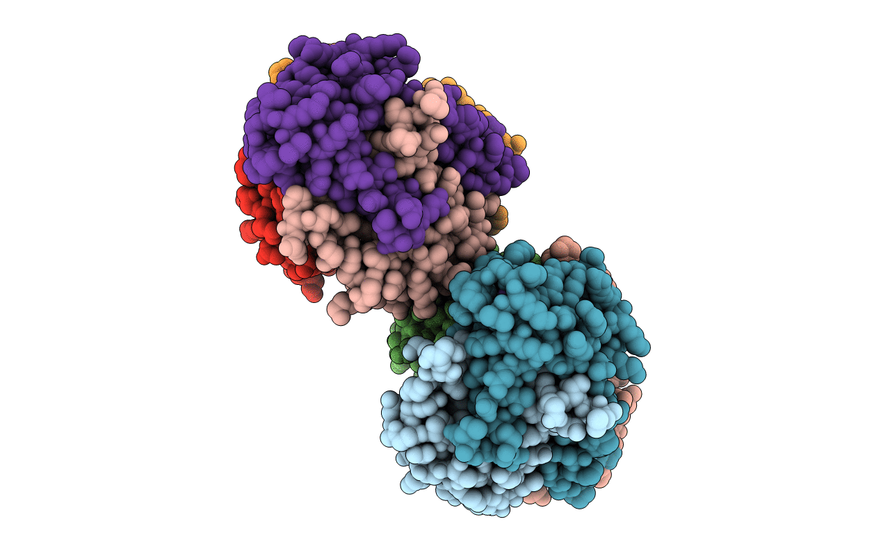 5W1F image