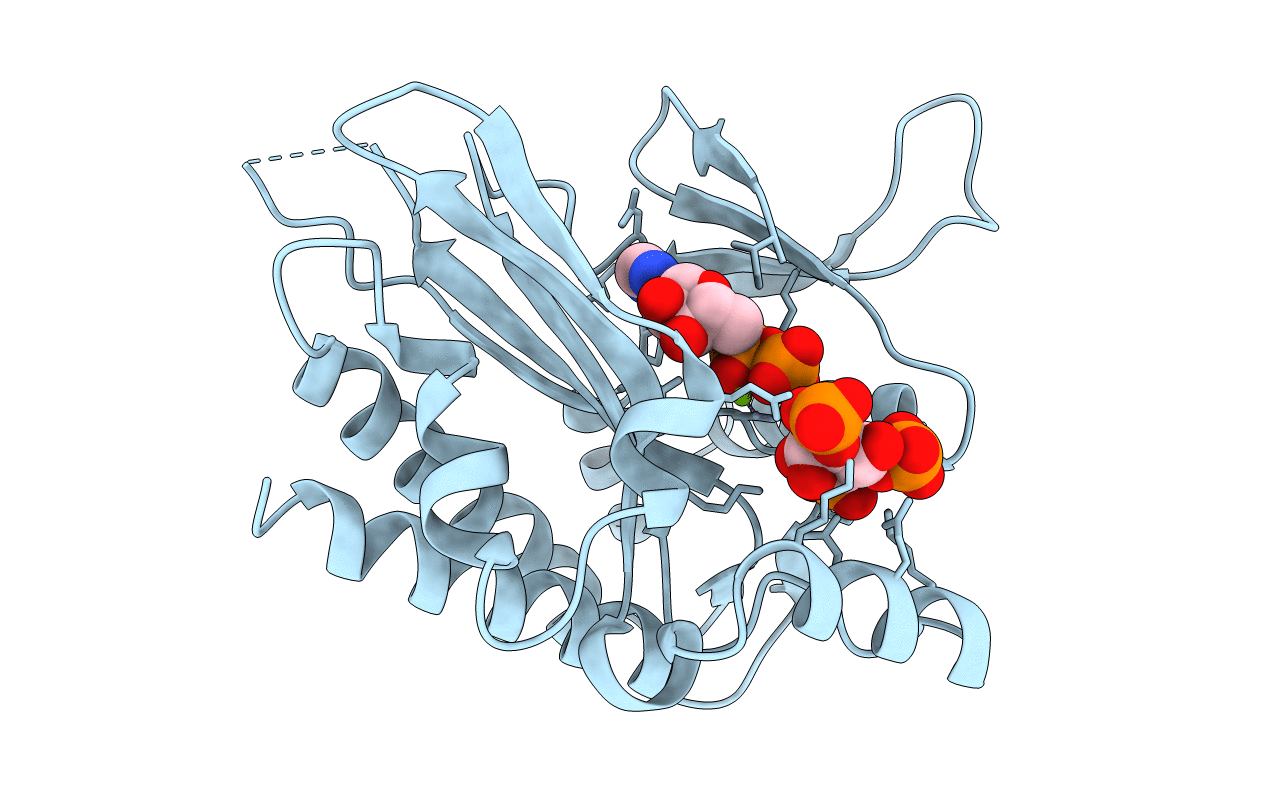 5W2I image
