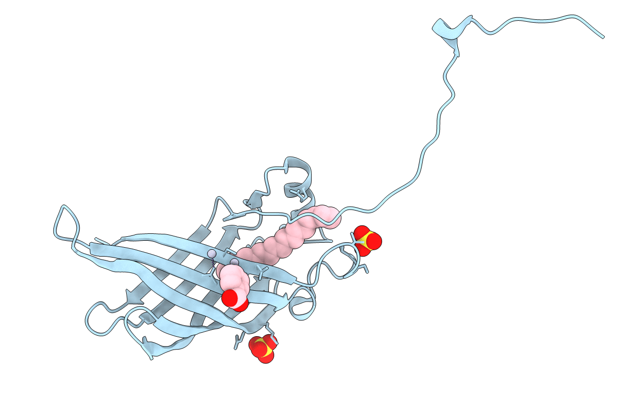 5W3B image