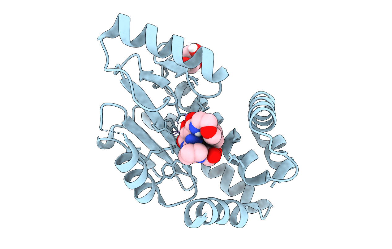 5W3I image