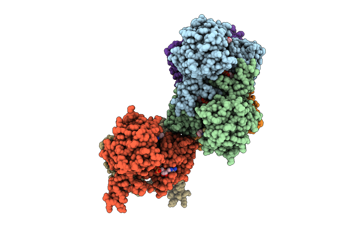 5W4B image