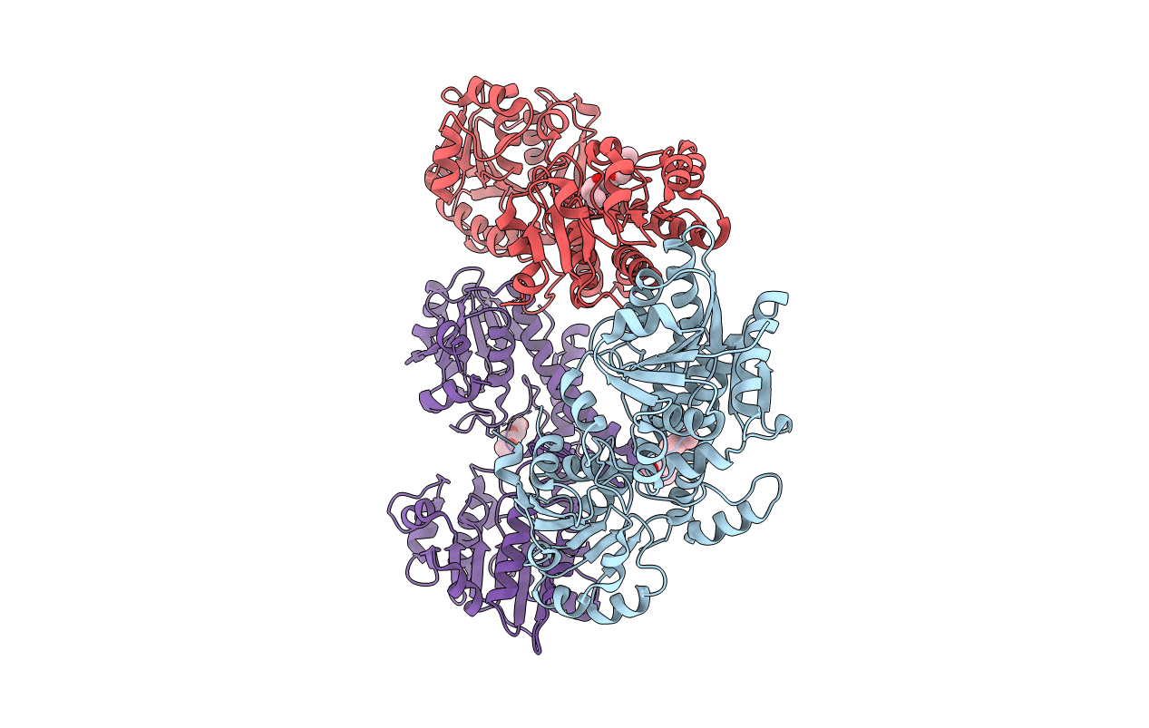 5W4X image