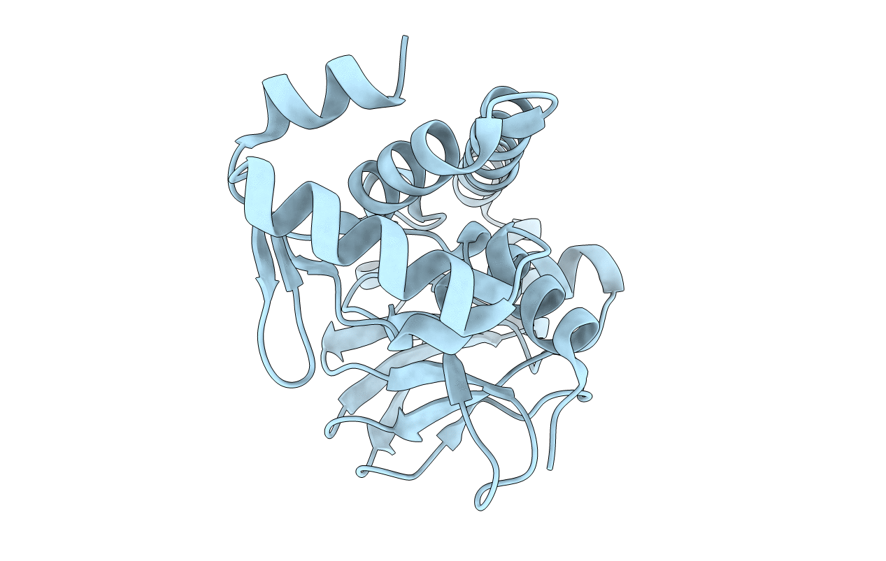5W5B image