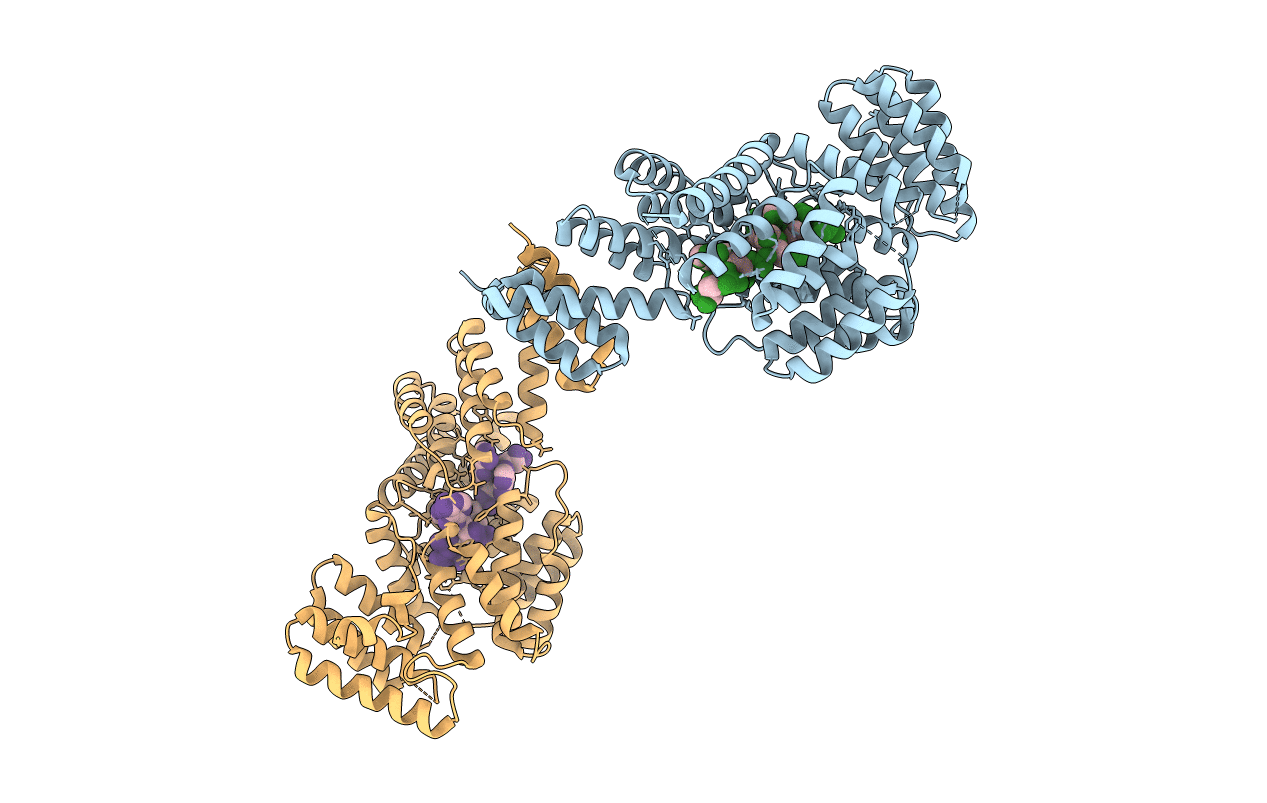 5W5I image