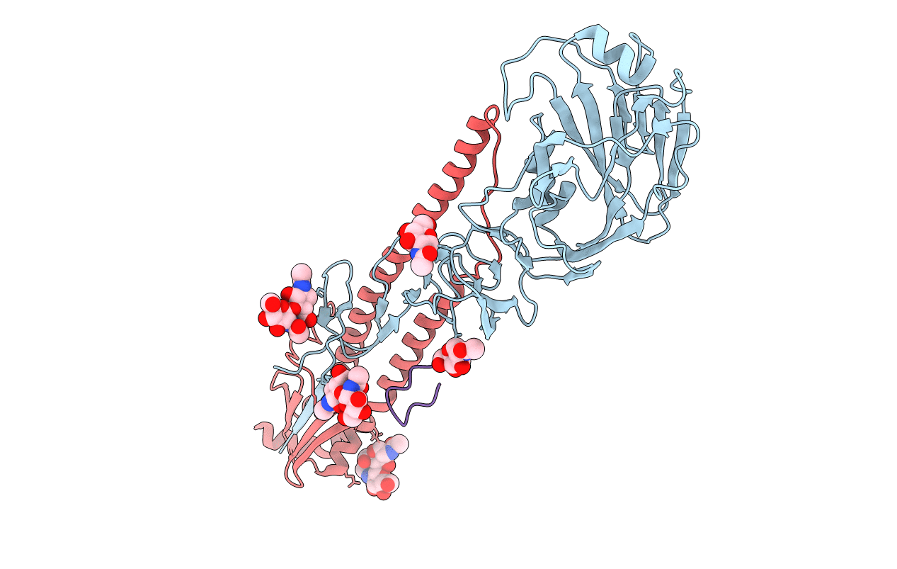 5W6I image