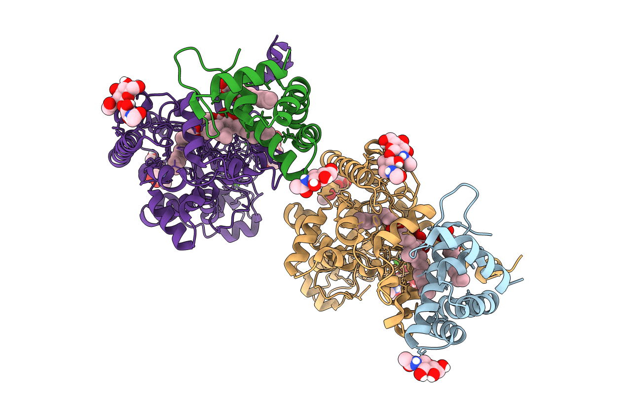 5W7C image