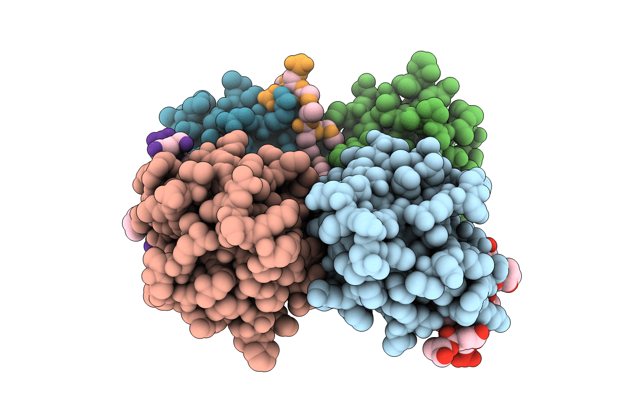 5W7X image