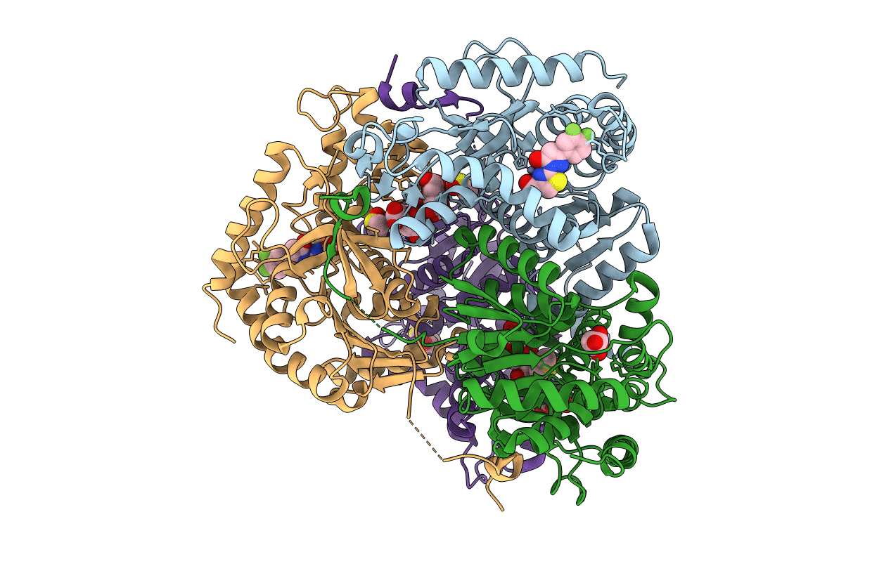 5W8I image