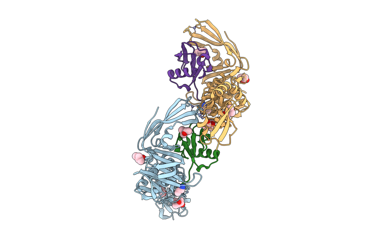 5W8U image