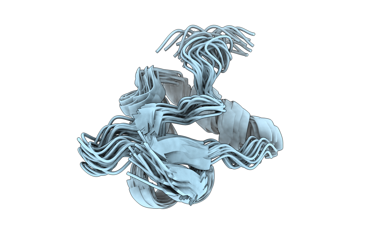 5W8Z image