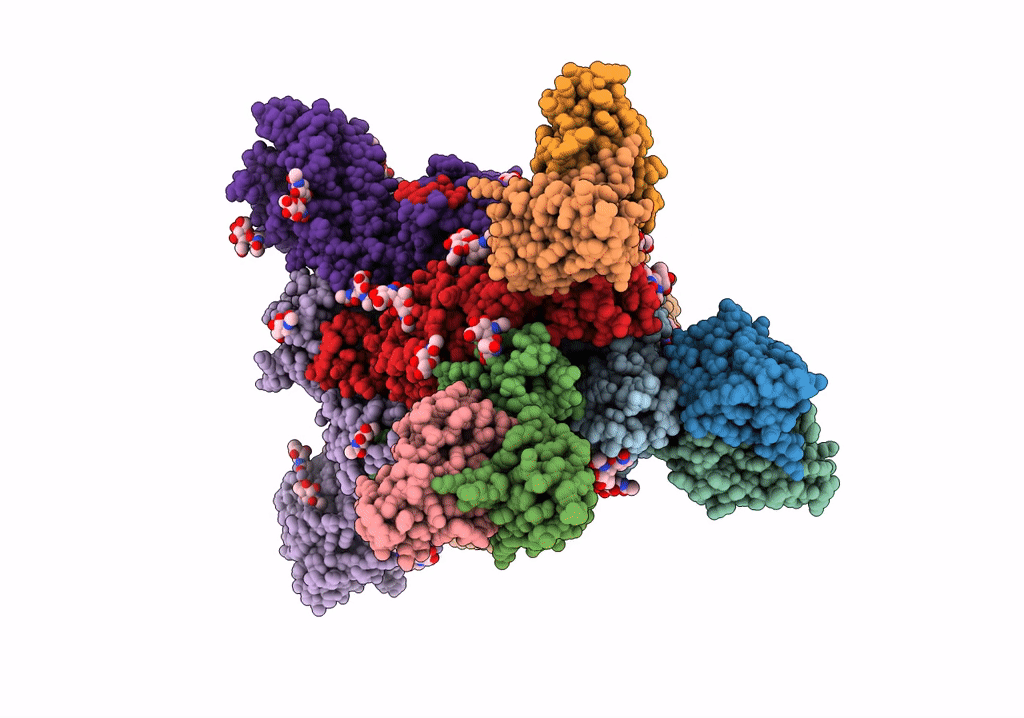 5W9H image