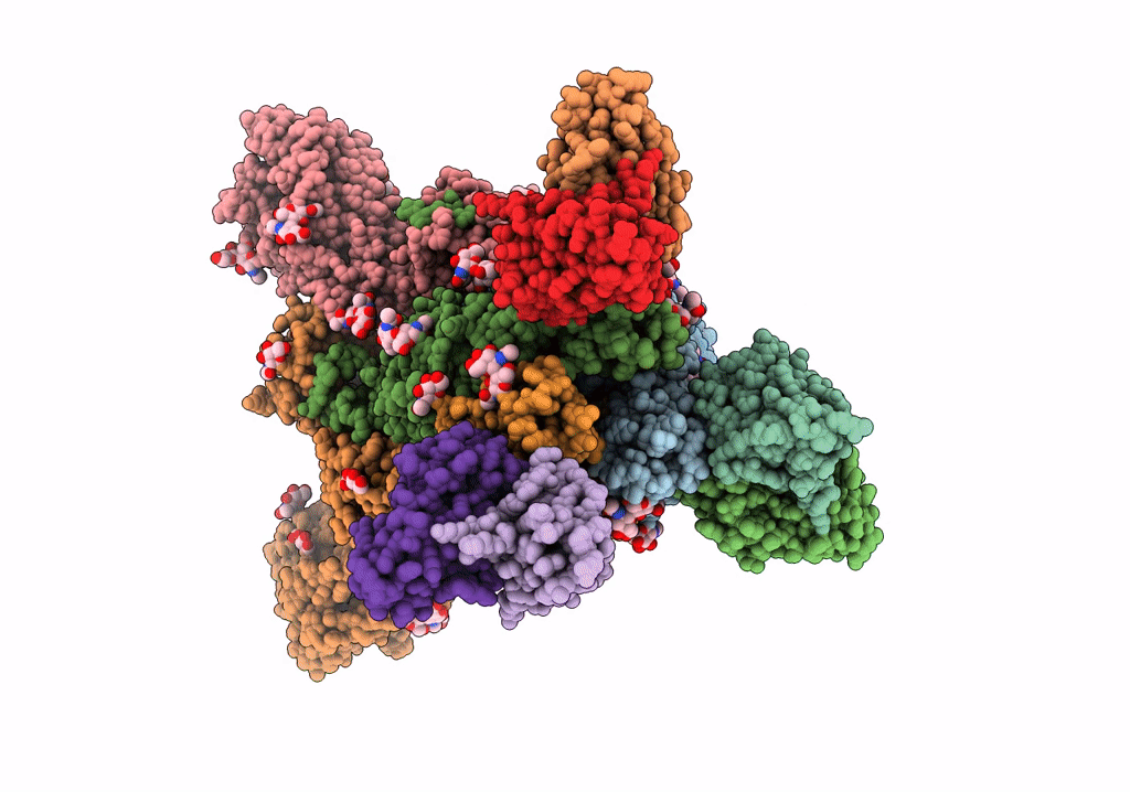 5W9I image