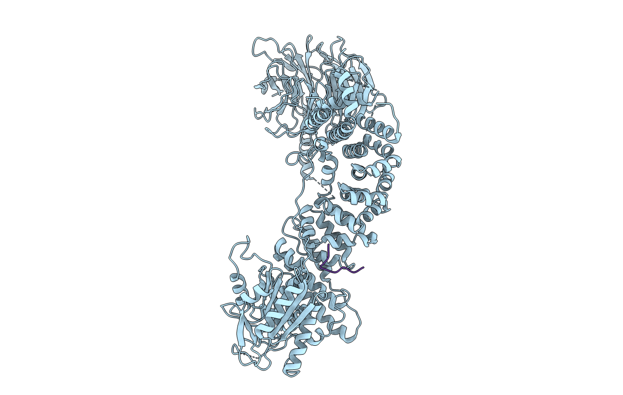 5WBL image