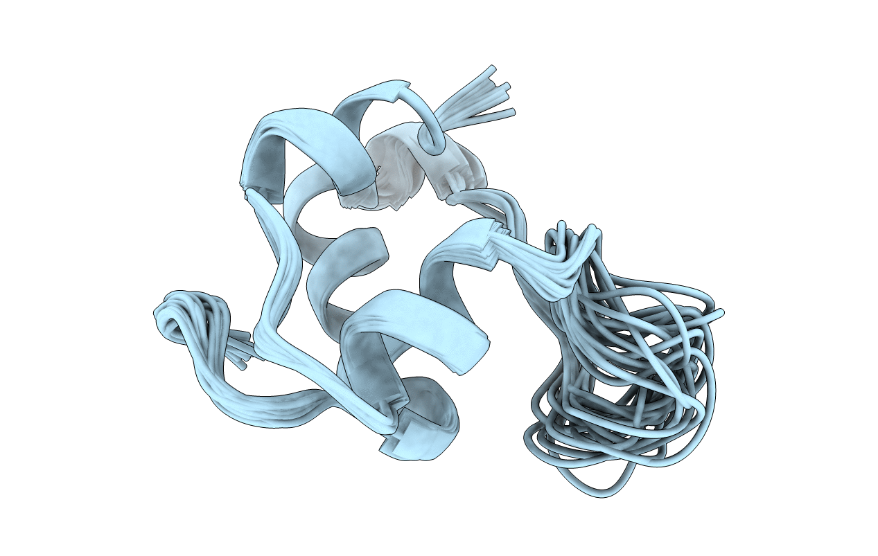 5WBT image