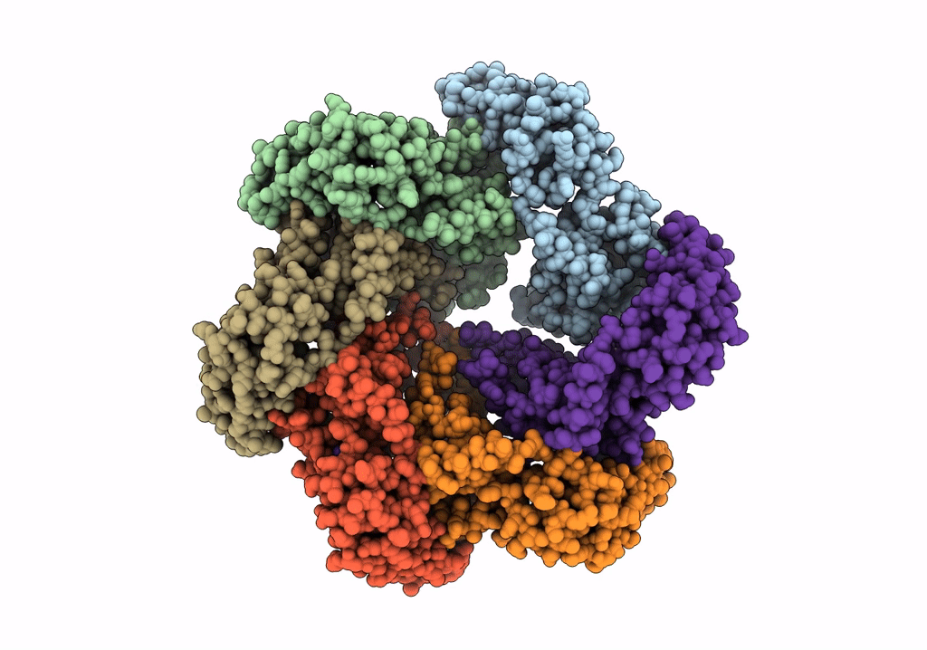 5WCB image