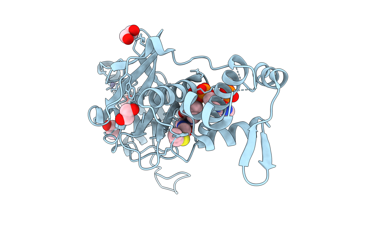 5WCI image