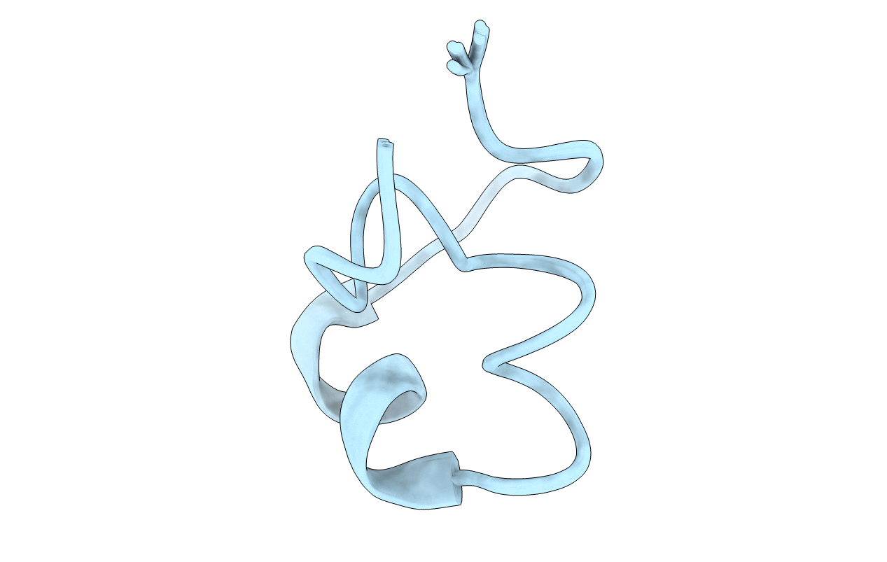 5WCV image