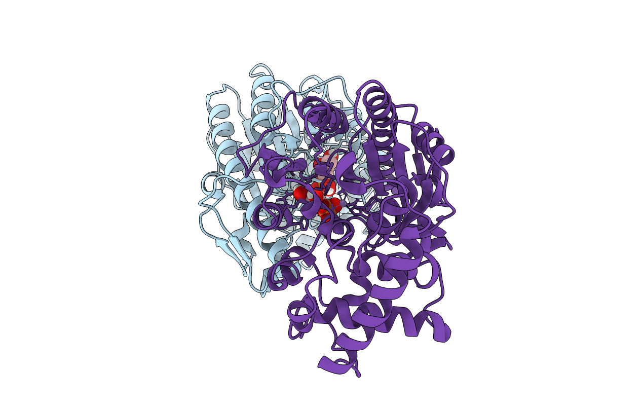 5WCX image
